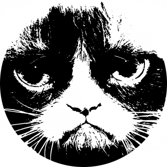 Grumpy Cat
